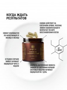 Ежовик гребенчатый, экстракт 5,3%