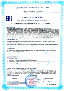 Интеллект